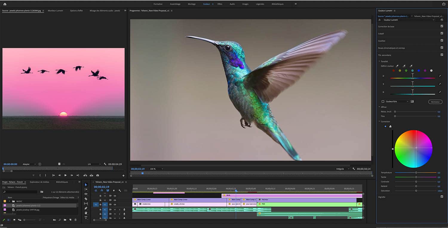 Formation montage vidéo avec Adobe premiere Pro et Davinci Resolve