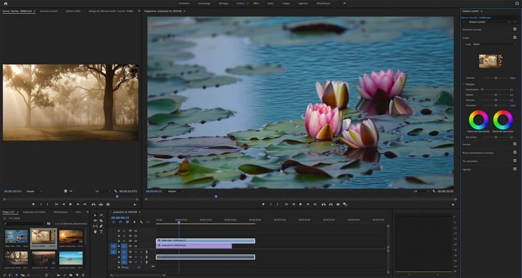 différences entre Adobe Premiere Pro et After Effects
