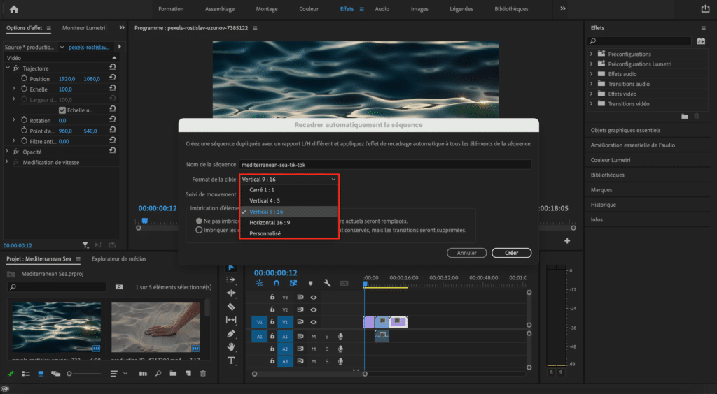 Modifier la taille d'une vidéo sur Premiere Pro