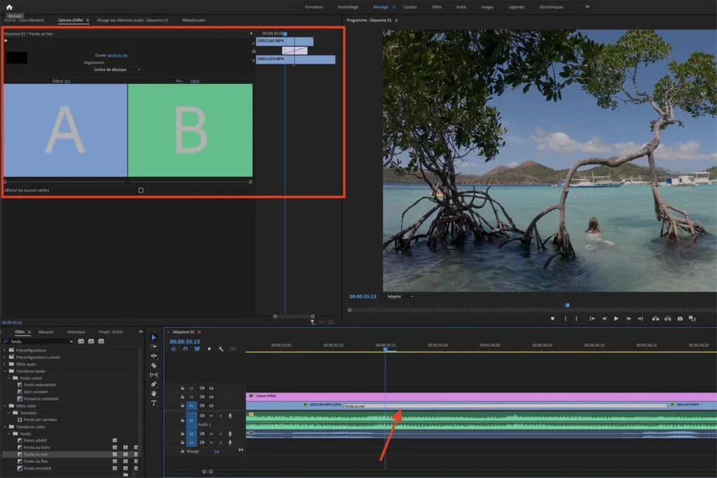 Transition Premiere Pro