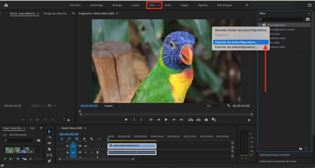 Importer un preset sur Premiere Pro