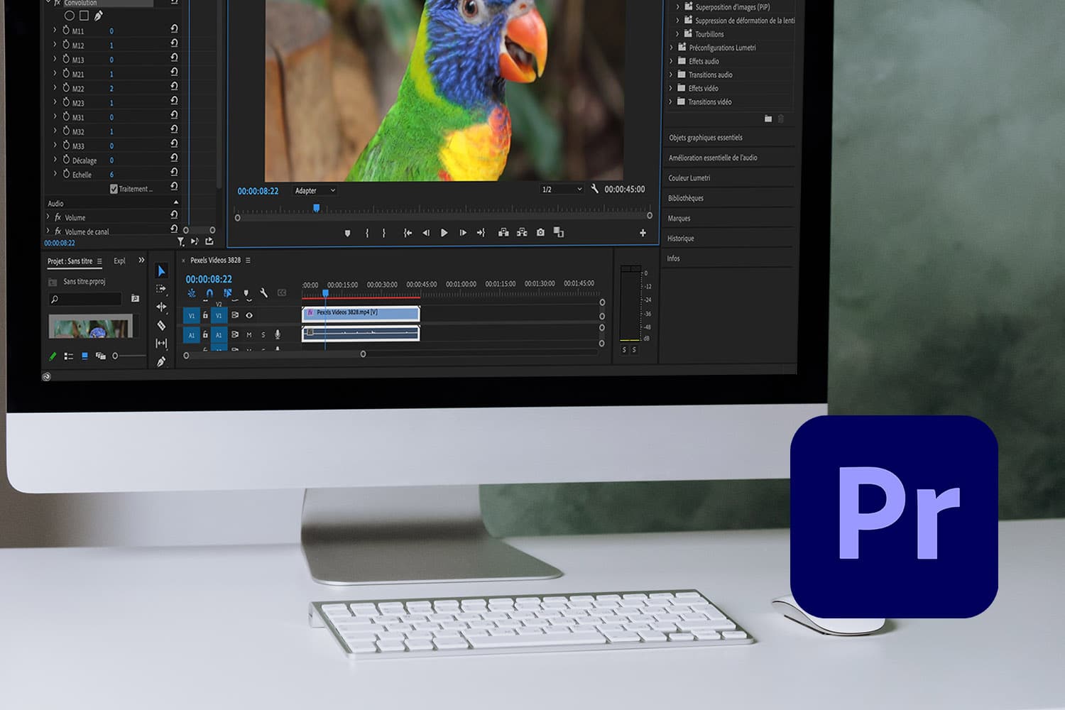 Preset Premiere Pro